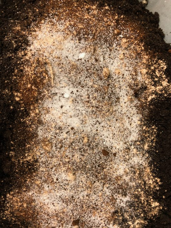 Omskolering av planter del 2