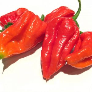 Butch T x 7 Pot Jonah