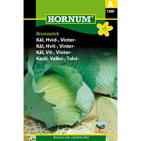 Kål - Brunswick