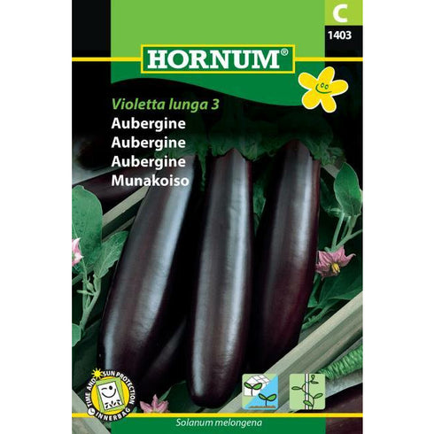 Aubergine Violetta Lunga