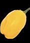 El Oro De Ecuador