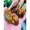 Chocolate Scorpion x Butch T